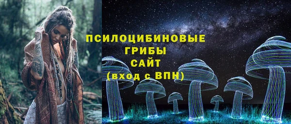 соль ск Абаза