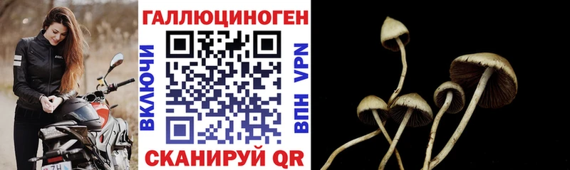 Псилоцибиновые грибы MAGIC MUSHROOMS  хочу   Новоаннинский 