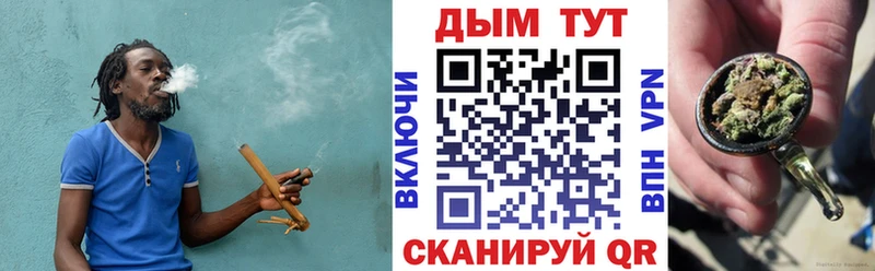 купить   Новоаннинский  Бошки марихуана планчик 